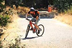 IMG_1925mr.jpg