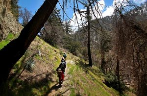 Down the mountain (Brian van der Brug / Los Angeles Times)