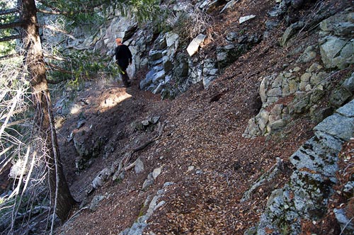 Lost bench on the Rim Trail Lost bench on the Rim Trail