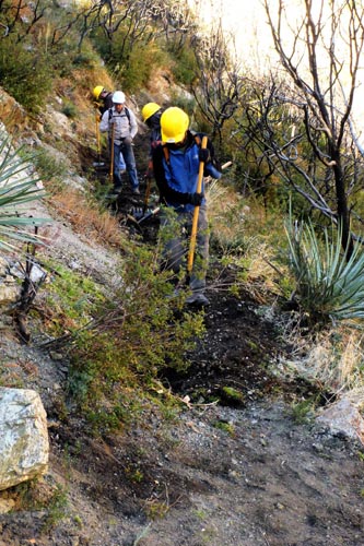 Restoring the tread Restoring the tread