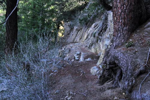 Bench restored after trailwork Bench restored after trailwork on the Rim trail