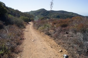 Rogers Road Rogers Road