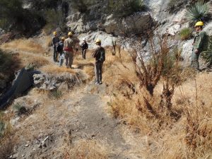 Trail damage Before Trail damage Before