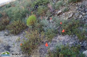 Re-route flagged and awaiting NEPA approval Re-route flagged and awaiting NEPA approval