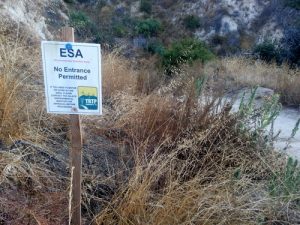 TRTP Signs on Brown Mountain