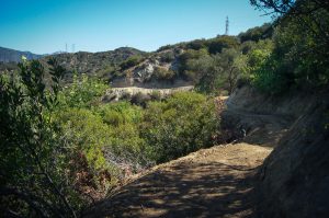 Glendale's new Catalina Verdugo Trail
