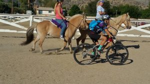 12079104_10153216209647358_5340819530297984411_n