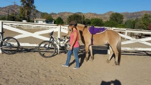 12079198_10153216208817358_3305294184480307977_n