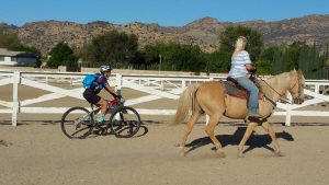 12079252_10153216209312358_6870417974206090440_n