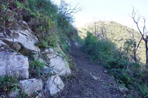 20151107059-Ken Burton Trailwork