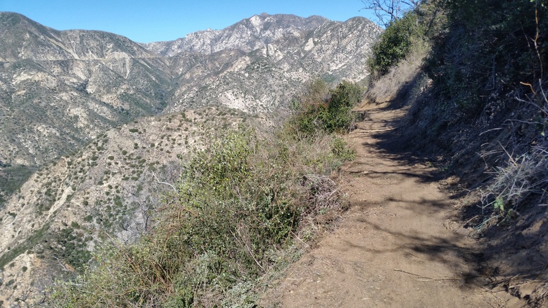 Ken Burton Trail Restoration