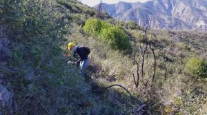 Ken Burton trailwork