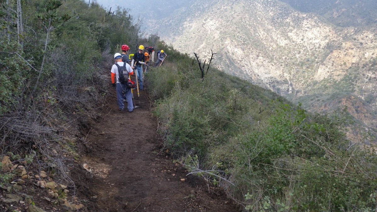Ahead, brush. Behind, a trail.