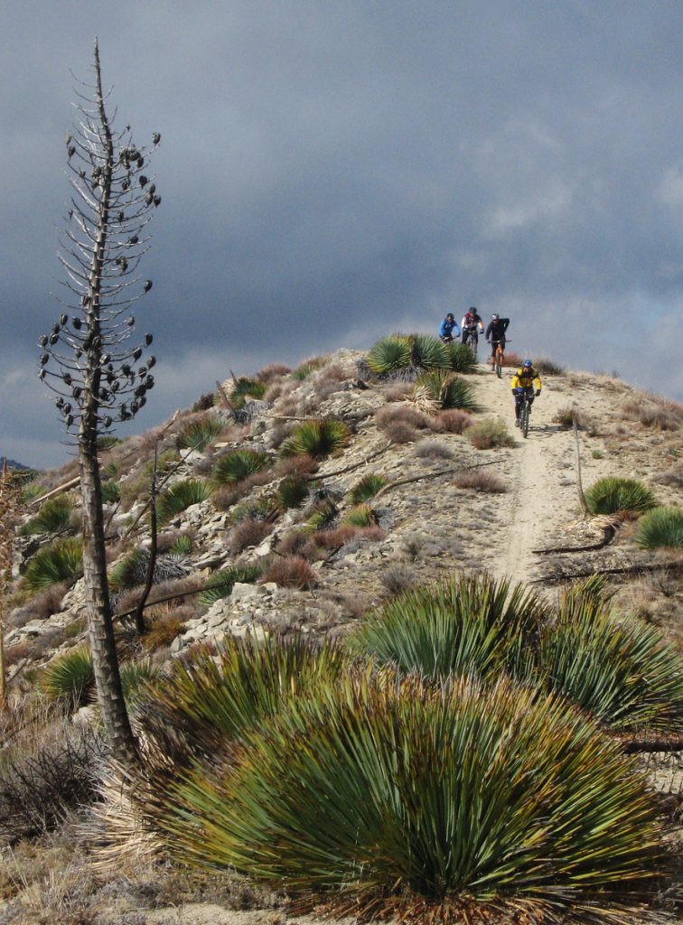 Mountain Bikers descend from Condor Peak